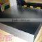 Tin free steel coil/TFS