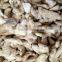 whole dried ginger dry well