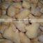 China Frozen IQF ginger peeled with best price