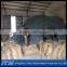 Q195 Galvanized Umbrella Head Roofing Nails With Smooth Shank