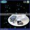 Fiber optic christmas lights.6 color or twinkle white color change