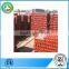 Painted 48.3*3mm Cuplock Scaffolding System