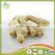 Fresh Young Ginger,Yellow Ginger,Fresh and Air Dry Ginger