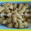 2016 China fresh ginger for sale