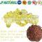 grape seed extract 98%hplc