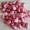 raw red skin peanuts of shandong province