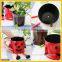 Pretty and Colorful plant pot cover Flower pot at reasonable prices small lot order available