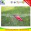 Two stroke hedge trimmer