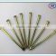 Harded Steel Galvanized Concrete Nails From China with low price