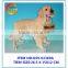 Geno resin dog welcome statue G59-02369A