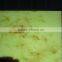 New Design Acrylic Marble Plastic Sheet , Marble Patterned Acrylic Sheet