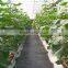 plastic ground cover breathable mesh fabric