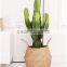 Natural belly seagrass basket / planter for home decoration