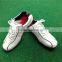 Good Quality and Promotion Lowest Price Golf Men's Shoe