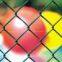 chain link fence