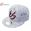 Customized Snapback Cotton Baseball Caps 3D Embroidery with Spot Printings