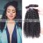 2017 hot sale kinky curly indian hair salon chair hair product