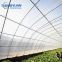 white transparent greenhouse covering materials / plastic film for greenhouse
