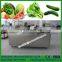 Electric vegetable and fruit washing machine for fresh fruits and vegetables