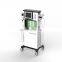 Newly Approach Niansheng oxygen injection skin rejuvenation whitening facial care beauty device