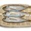 small eye horse mackerel frozen horse mackerel fish