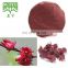 Hibiscus flowers extract powder 10:1,20:1