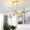 Good Price Simple Contemporary Style Living Room Iron Glass Chandelier Pendant Light