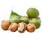 Shelled walnuts wulnut price walnut