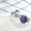 SINOBI Elegant Starry Sky Watch For Ladies Quartz Watches Steel Mesh Band Small Alloy Wristwatch S9803L