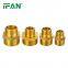 IFAN Factory Director Copper Plug Brass Pipe Fittings Plumbing Fitting Copper Yellow Color Female Thread Brass Plug