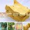 Peach fruit covering paper bag