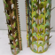 Galvanized Steel Wall Spikes Stainless Steel 316 Anti Climb Wall Spike