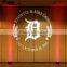 Hot sale 300 inch logo projector professional lighting