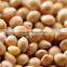 Foxtail Millet