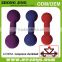 2015Ironsystem Amiable Vinyl Dipping Dumbbell
