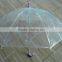 transparent POE umbrella