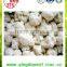 Organic green vegetables fresh cauliflower