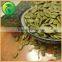 Chinese Hot Shine Skin Pumpkin Kernels Best Products for Import