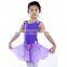 C2154 purple Girls Dance Dress with attched chiffon skirt Ballet Costume