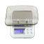 Best Sell Digital Gold Jewelry Weight Scale In USA Market