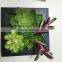 HOT Virbrat 3D Artificial Succulents Wall Garden Docoration Plant for factory wholesale
