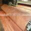 wood veneer /rotary cut face veneer/okoume veneer sheet                        
                                                Quality Choice