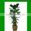 Artificial Taro/Dieffenbachia/small trees used for home or office decoration