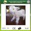 Environmental 2.5L plastic animal calf feeding bottles on sale