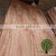 HOT SALE ! Burckella Veneer Keruing Veneer for Door Skin Good Price