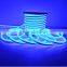 Factory In China IP 68 Blue Jackets Led Neon Flex