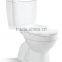 china product sanitary ware wc toilet bowl bathroom two piece toilets ceramic washdown s trap toilet Y803