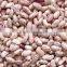 we are supply speckled Kidney Beans with good quality for sale