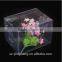Custom Clear Hard Plastic Box, Souvenir Gift Plastic Box