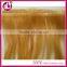 Wholesale price 6A grade top quality Brazilian virgin hair double drawn colorful tape hair extensions